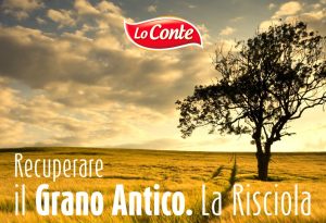 lo conte