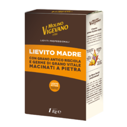 Immagine Lieviti 